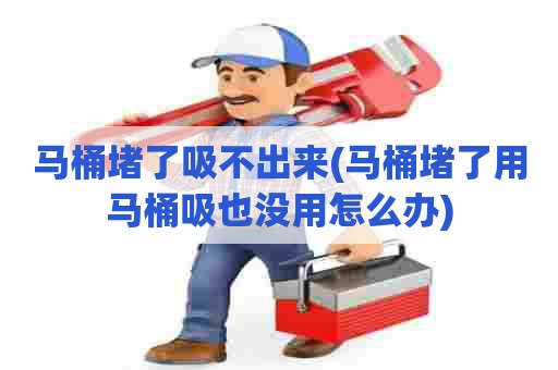 马桶堵了吸不出来(马桶堵了用马桶吸也没用怎么办) 马桶堵了吸不出来(马桶堵了用马桶吸也没用怎么办)