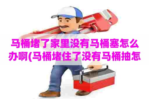 马桶堵了家里没有马桶塞怎么办啊(马桶堵住了没有马桶抽怎么办)