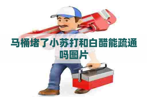 马桶堵了小苏打和白醋能疏通吗图片