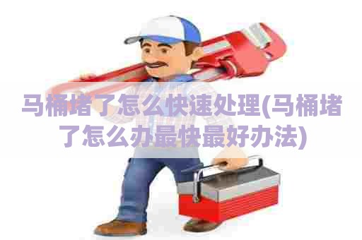 马桶堵了怎么快速处理(马桶堵了怎么办最快最好办法)