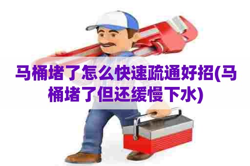 马桶堵了怎么快速疏通好招(马桶堵了但还缓慢下水)