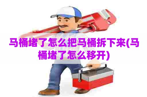 马桶堵了怎么把马桶拆下来(马桶堵了怎么移开)