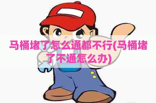 马桶堵了怎么通都不行(马桶堵了不通怎么办)