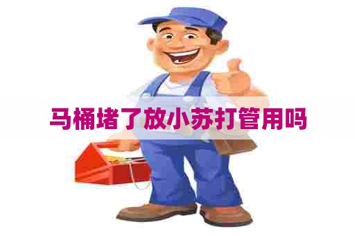 马桶堵了放小苏打管用吗