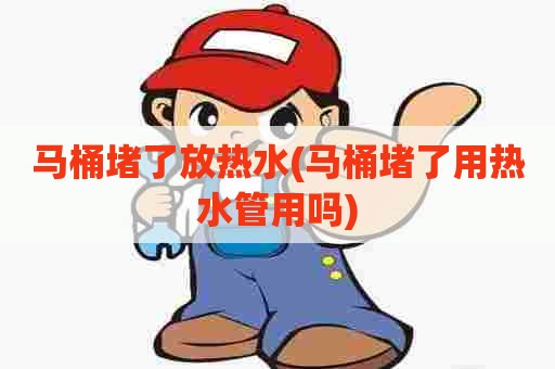 马桶堵了放热水(马桶堵了用热水管用吗)