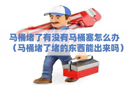 马桶堵了有没有马桶塞怎么办（马桶堵了堵的东西能出来吗）