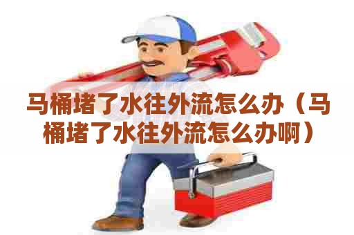 马桶堵了水往外流怎么办（马桶堵了水往外流怎么办啊）