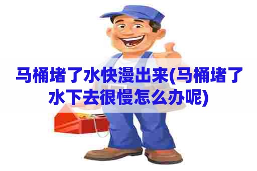 马桶堵了水快漫出来(马桶堵了水下去很慢怎么办呢) 马桶堵了水快漫出来(马桶堵了水下去很慢怎么办呢)