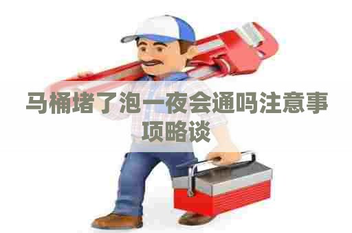 马桶堵了泡一夜会通吗注意事项略谈