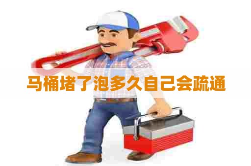 马桶堵了泡多久自己会疏通