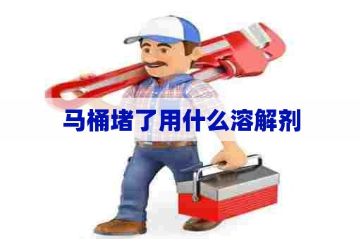 马桶堵了用什么溶解剂