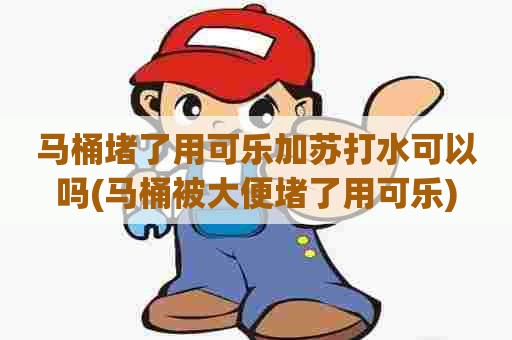 马桶堵了用可乐加苏打水可以吗(马桶被大便堵了用可乐)