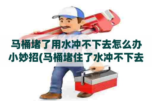 马桶堵了用水冲不下去怎么办小妙招(马桶堵住了水冲不下去) 马桶堵了用水冲不下去怎么办小妙招(马桶堵住了水冲不下去)