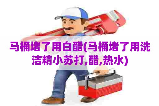 马桶堵了用白醋(马桶堵了用洗洁精小苏打,醋,热水) 马桶堵了用白醋(马桶堵了用洗洁精小苏打,醋,热水)