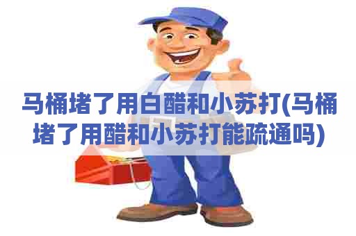 马桶堵了用白醋和小苏打(马桶堵了用醋和小苏打能疏通吗) 马桶堵了用白醋和小苏打(马桶堵了用醋和小苏打能疏通吗)