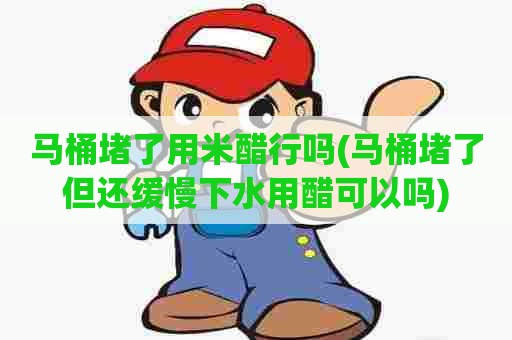 马桶堵了用米醋行吗(马桶堵了但还缓慢下水用醋可以吗)