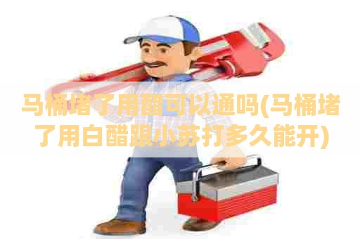 马桶堵了用醋可以通吗(马桶堵了用白醋跟小苏打多久能开)