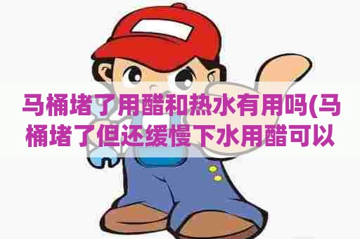 马桶堵了用醋和热水有用吗(马桶堵了但还缓慢下水用醋可以吗)