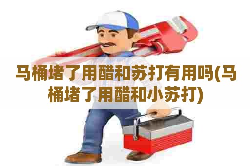 马桶堵了用醋和苏打有用吗(马桶堵了用醋和小苏打)