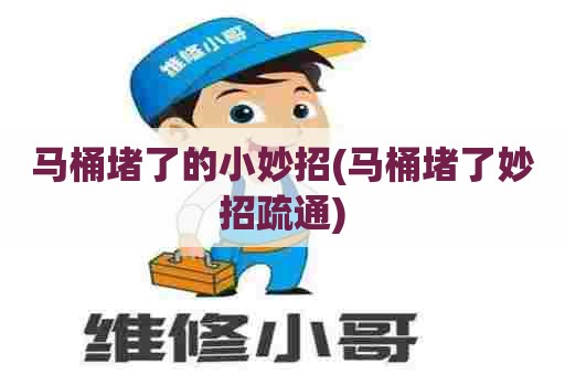 马桶堵了的小妙招(马桶堵了妙招疏通)