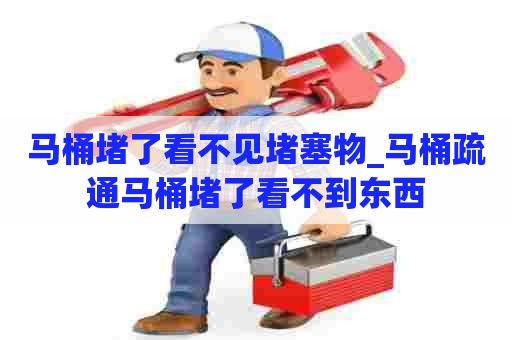 马桶堵了看不见堵塞物_马桶疏通马桶堵了看不到东西