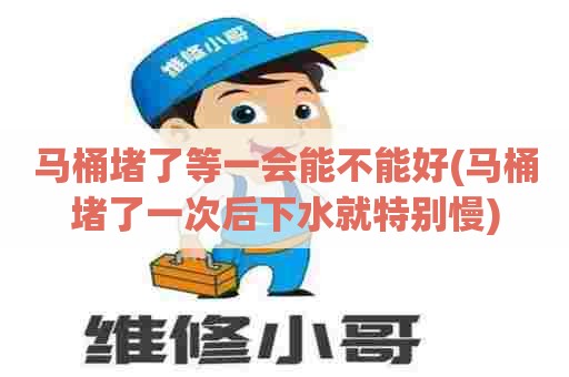 马桶堵了等一会能不能好(马桶堵了一次后下水就特别慢) 马桶堵了等一会能不能好(马桶堵了一次后下水就特别慢)
