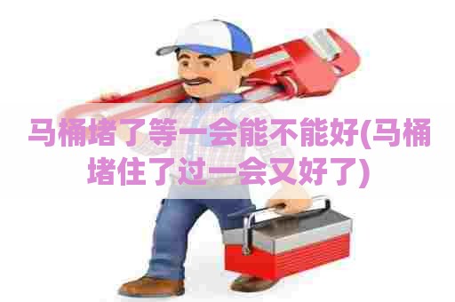 马桶堵了等一会能不能好(马桶堵住了过一会又好了) 马桶堵了等一会能不能好(马桶堵住了过一会又好了)