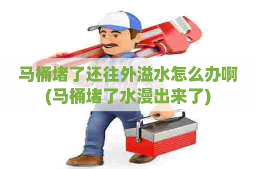 马桶堵了还往外溢水怎么办啊(马桶堵了水漫出来了)