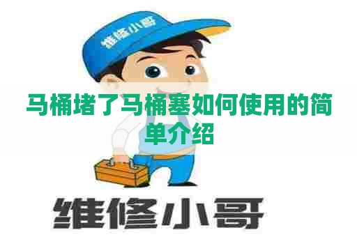 马桶堵了马桶塞如何使用的简单介绍