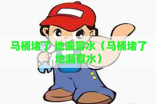 马桶堵了 地漏冒水(马桶堵了地漏冒水) 马桶堵了 地漏冒水(马桶堵了地漏冒水)