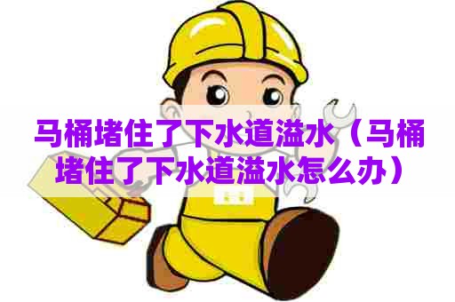 马桶堵住了下水道溢水(马桶堵住了下水道溢水怎么办) 马桶堵住了下水道溢水(马桶堵住了下水道溢水怎么办)