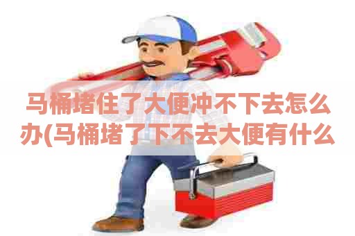 马桶堵住了大便冲不下去怎么办(马桶堵了下不去大便有什么妙招) 马桶堵住了大便冲不下去怎么办(马桶堵了下不去大便有什么妙招)