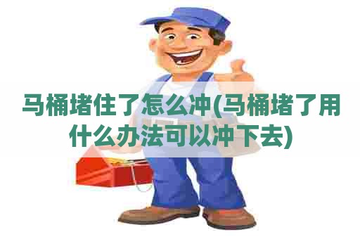 马桶堵住了怎么冲(马桶堵了用什么办法可以冲下去)