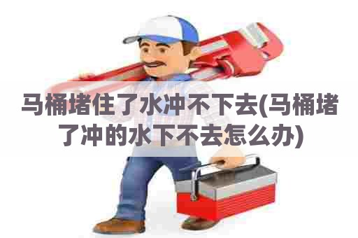 马桶堵住了水冲不下去(马桶堵了冲的水下不去怎么办)