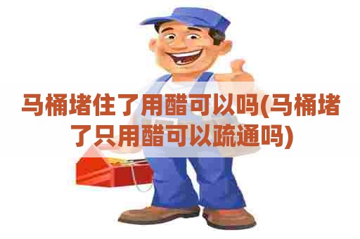 马桶堵住了用醋可以吗(马桶堵了只用醋可以疏通吗) 马桶堵住了用醋可以吗(马桶堵了只用醋可以疏通吗)