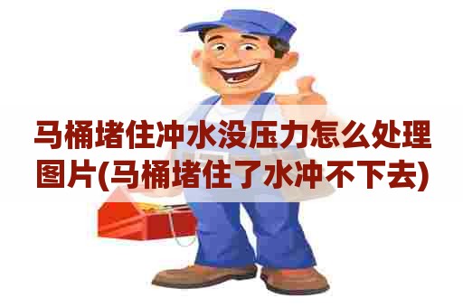 马桶堵住冲水没压力怎么处理图片(马桶堵住了水冲不下去) 马桶堵住冲水没压力怎么处理图片(马桶堵住了水冲不下去)