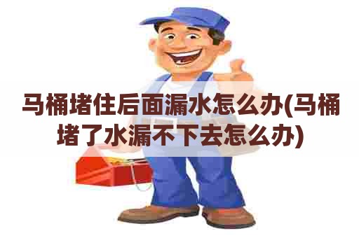 马桶堵住后面漏水怎么办(马桶堵了水漏不下去怎么办) 马桶堵住后面漏水怎么办(马桶堵了水漏不下去怎么办)