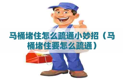 马桶堵住怎么疏通小妙招（马桶堵住要怎么疏通）