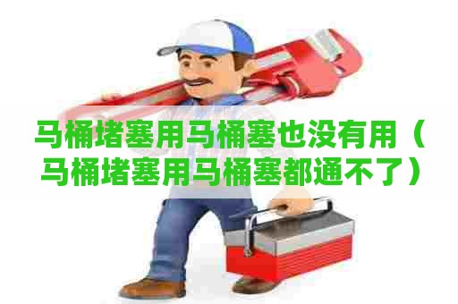 马桶堵塞用马桶塞也没有用（马桶堵塞用马桶塞都通不了）