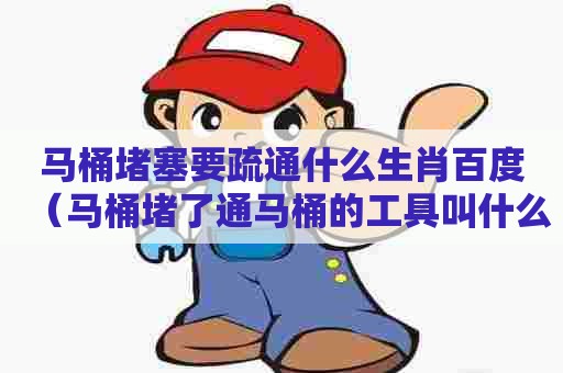 马桶堵塞要疏通什么生肖百度（马桶堵了通马桶的工具叫什么）