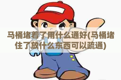 马桶堵着了用什么通好(马桶堵住了放什么东西可以疏通)