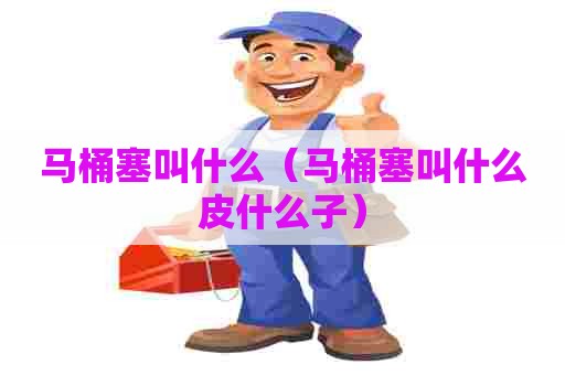 马桶塞叫什么（马桶塞叫什么皮什么子）
