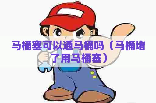 马桶塞可以通马桶吗（马桶堵了用马桶塞）