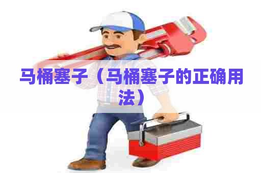 马桶塞子(马桶塞子的正确用法) 马桶塞子(马桶塞子的正确用法)