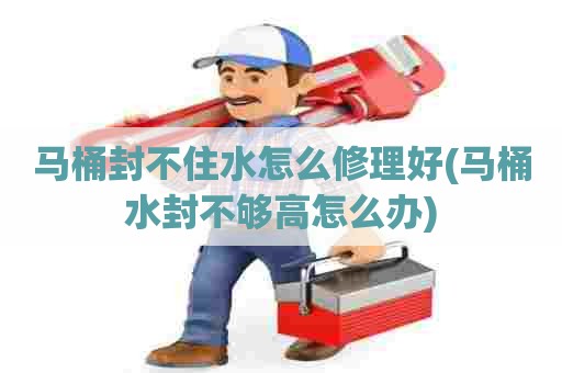 马桶封不住水怎么修理好(马桶水封不够高怎么办) 马桶封不住水怎么修理好(马桶水封不够高怎么办)