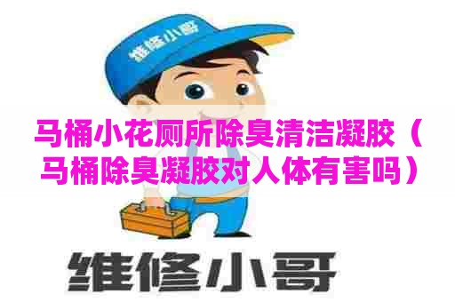 马桶小花厕所除臭清洁凝胶（马桶除臭凝胶对人体有害吗）