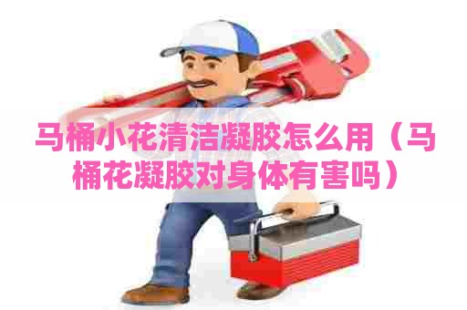 马桶小花清洁凝胶怎么用（马桶花凝胶对身体有害吗）