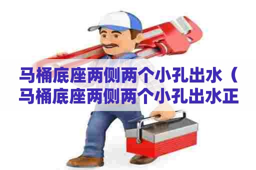 马桶底座两侧两个小孔出水（马桶底座两侧两个小孔出水正常吗）