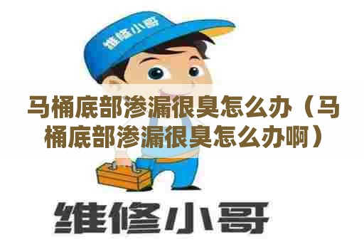 马桶底部渗漏很臭怎么办（马桶底部渗漏很臭怎么办啊）