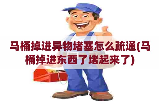 马桶掉进异物堵塞怎么疏通(马桶掉进东西了堵起来了)
